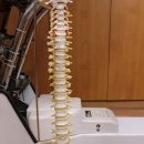 월드경희한의원 이미지