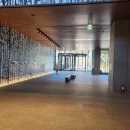 별님캔들 | 리조트앤웰니스 힐리에 최적화된 숙소, 숙암킹룸 후기, 로쉬카페, 글라스하우스, 불멍, 별멍 다 가능...