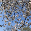 버스정류장(쌍암공원) 이미지