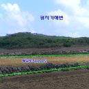 올래공인중개사사무소 이미지