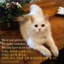 금곡도장