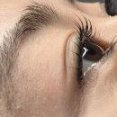 도트앤플로우 이미지