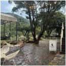 댕댕이 베이커리 이미지