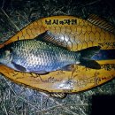 황촌리 티스토리