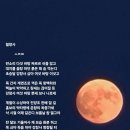월창사 이미지