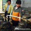 화천논미분교 이미지