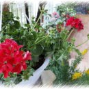 그림속풍경 이미지