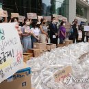 금제로R 이미지