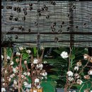 자립농장 이미지