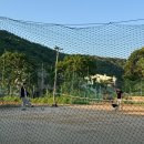 터보 휘트니스운동재활센터 | 분당재활센터 수내동 미라클운동재활센터에서 운동솔루션받음 대퇴사두근 재활