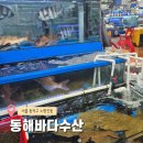 바다회식당 | 노량진수산시장 추천 동해바다수산 서울식당 모둠회 후기