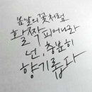 블루밍부케 - 서초구 강남대로 27 | 블루밍부케
