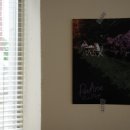 카페살뤼 이미지