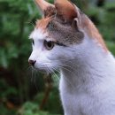 파니 게스트하우스 이미지