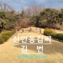 [조선] 신안동김씨 김 번