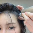 부티부 살롱 | 한남동 두피디톡스 부티부살롱 후기(Bioprogramming 제품 사용)