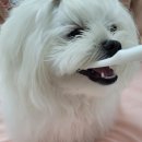 주식회사 버박코리아 이미지