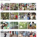 그린토피아 이미지