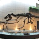 한국지질자원연구원 지질박물관 이미지