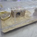 특별한동물가게 평택점 이미지