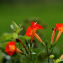 광명사세탁소 이미지