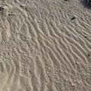 하고수동 탈의장 이미지