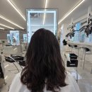 숙희헤어샵 | 미금 미용실 레이어드컷 아윤채 클리닉 잘하는 곳 추천 헤어다이아 미금스타점