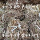 고향농약사 이미지