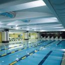 실내수영장 이미지