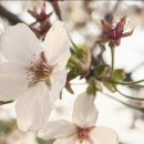 오케이요양병원 이미지