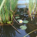 여산농장 이미지