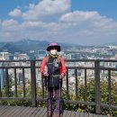 한양도성(남산구간) 이미지