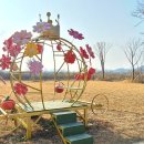 코스모스리사이클링 네이버블로그