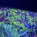 뉴욕아트랩 | 후쿠오카 비오는날 가볼만한곳 7월 팀랩 포레스트 teamlab forest 가격 할인 복장팁