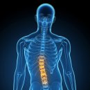 서문 365 정형외과 의원 이미지