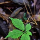 수피아펜션 이미지