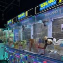 명품뽑기방 이미지