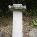 24호선 국도변 Daum카페
