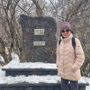 서귀포 눈꽃산행 버스타고 이미지