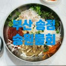 송원 | 부산 송정 물회 맛집 연예인 싸인 가득한 '송원물회' 방문 후기