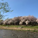 온천천일대7 이미지