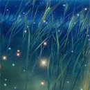 반딧불 PC 이미지