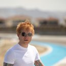 질주본능 더 레이싱 이미지