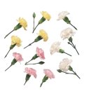 감자꽃스테이 이미지