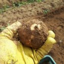 자양건강센터 이미지