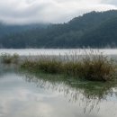 대호주유소 이미지