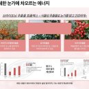 셀비아 이미지