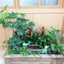 양재초등학교 이미지