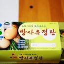 세진네