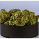 (주)파인상사 이미지